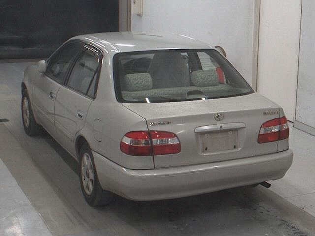 TOYOTA COROLLA