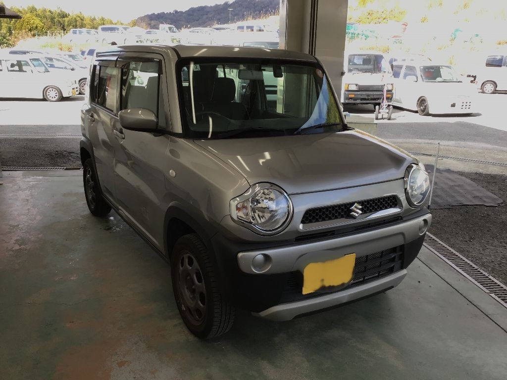 SUZUKI HUSTLER