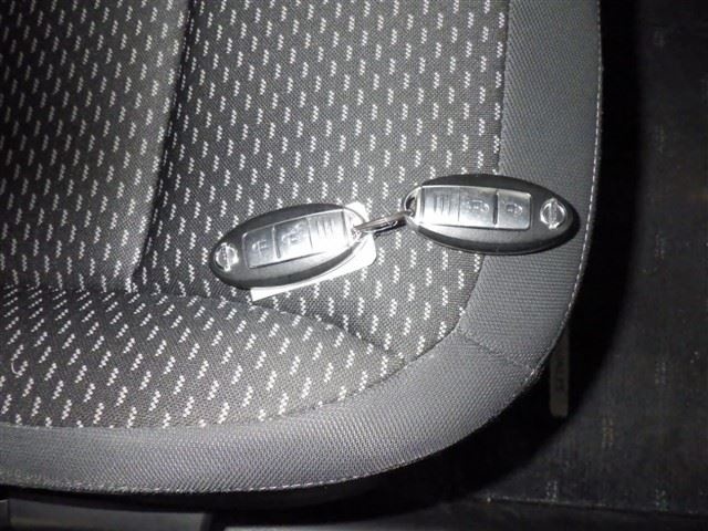 NISSAN DUALIS