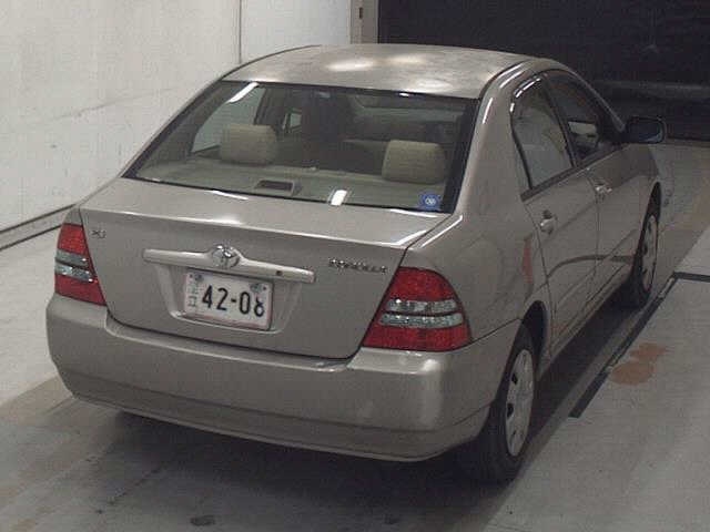 TOYOTA COROLLA